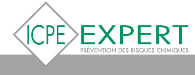 Logo-icpe-expert